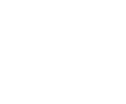 Evolution games at Spin Stars Casino